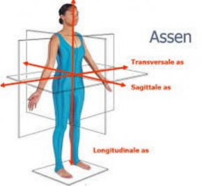 Anatomische assen