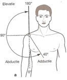De bewegingen Abductie en adductie van de bovenarm